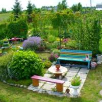 Новосте СД Калезея - Требования к постройкам и зеленым насаждениям на садовом (дачном) участке