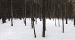 Калезея - 2022