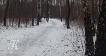 Садоводческое Товарищество Калезея - 2018