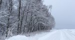 Калезея - 2019