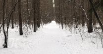 Садоводческое Товарищество Калезея - 2022