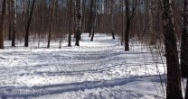 Садоводческое Товарищество Калезея - 2018