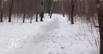 Садоводческое Товарищество Калезея - 2018
