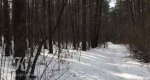 Калезея - 2021