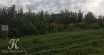 Садоводческое Товарищество Калезея - 2018