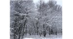Калезея - 2019