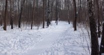 Садоводческое Товарищество Калезея - 2018