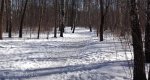 Калезея - 2018