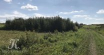 Садоводческое Товарищество Калезея - 2020