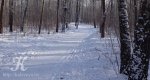 Калезея - 2018